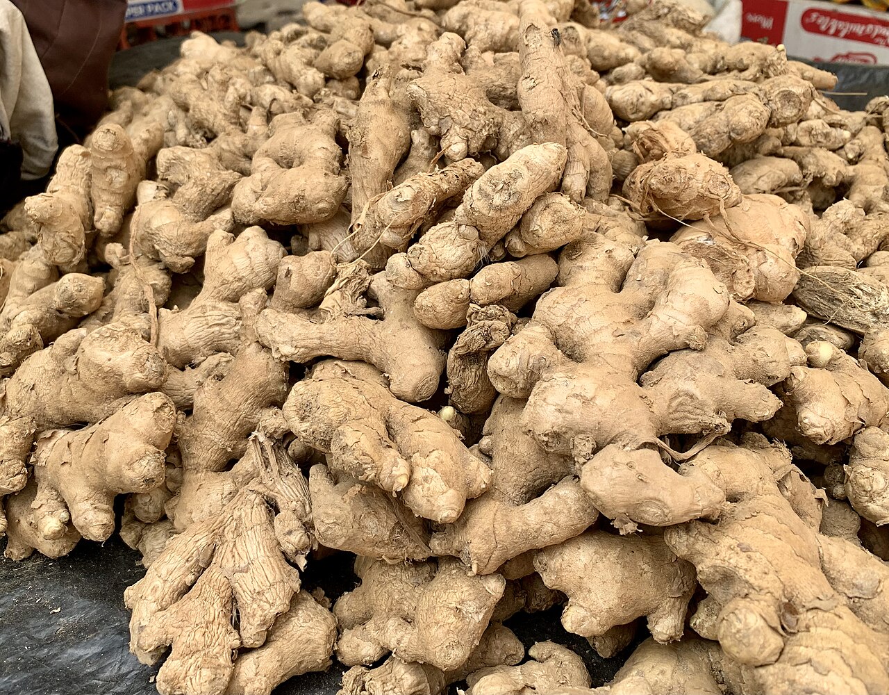 Red ginger