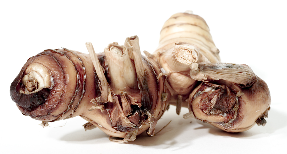 Galangal