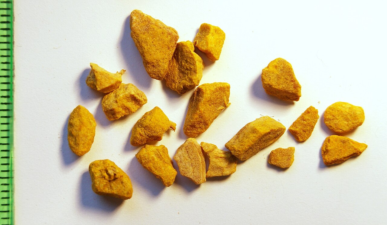 Java turmeric
