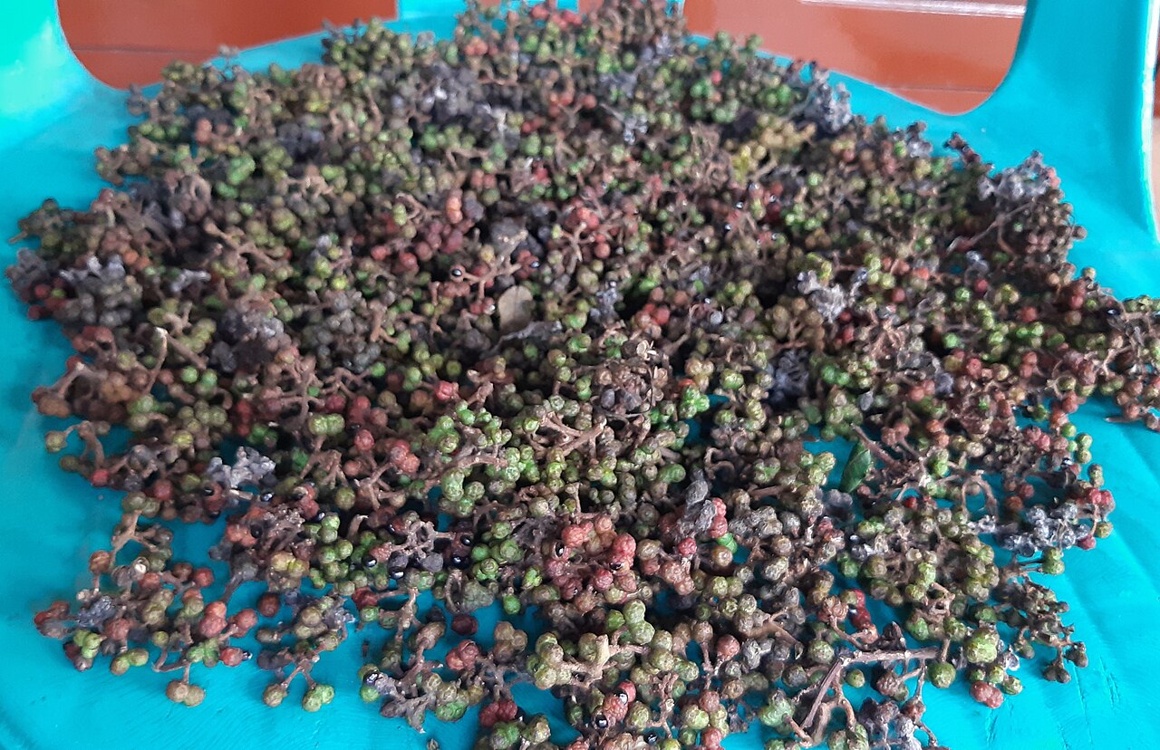 Batak pepper