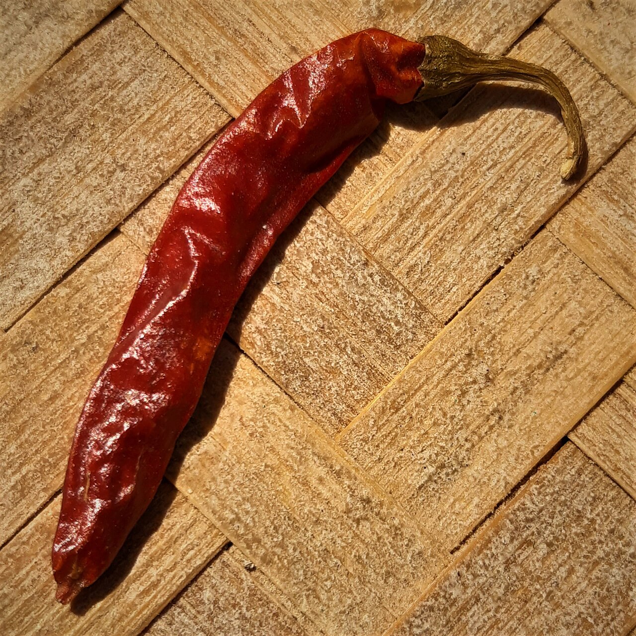 Large red chili